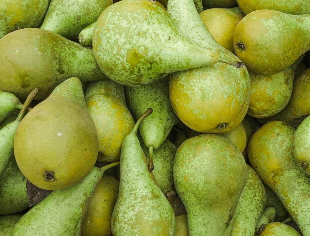 Image of Pears