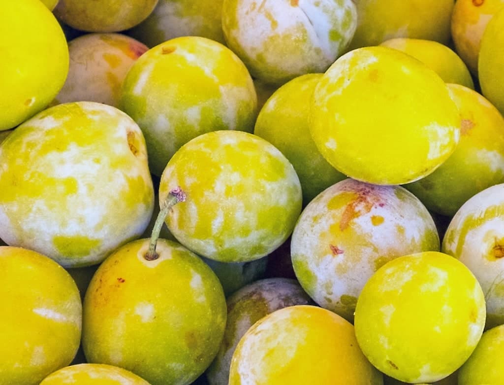 Image of Yellow Plums