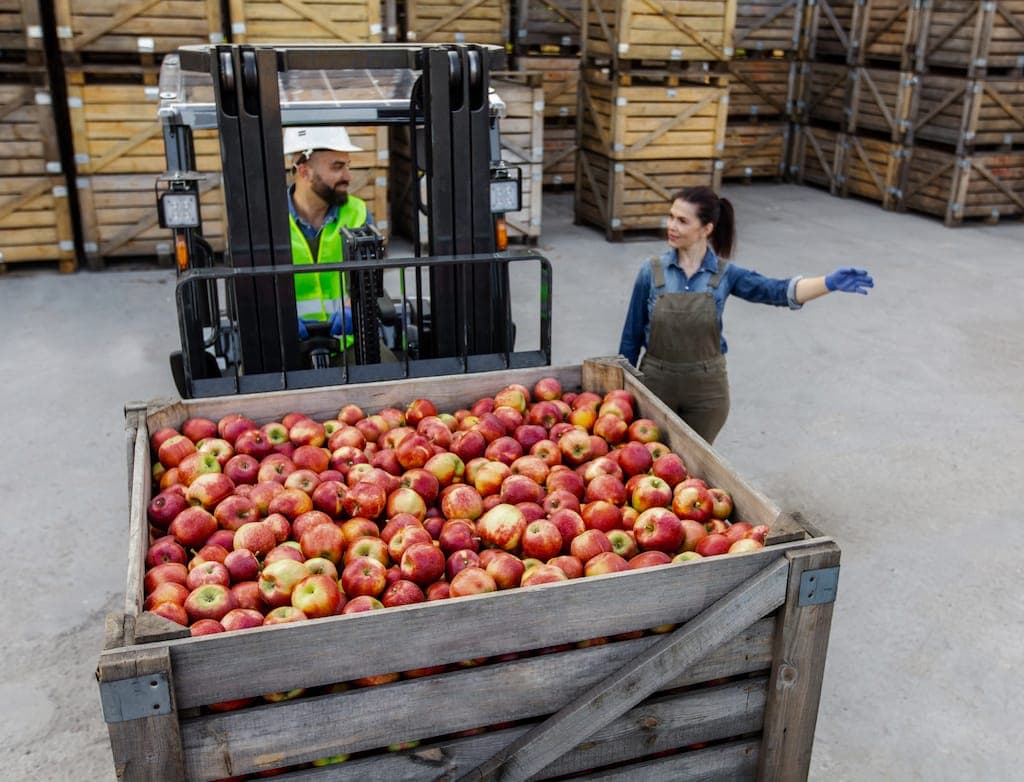 apples in the container